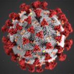 COVID Virus