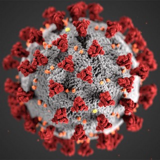 COVID Virus COVID Virus
