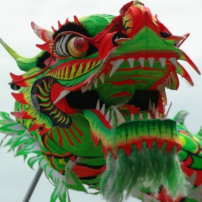 Dragon Galibier Design - Dragon