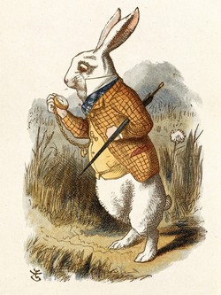 White Rabbit